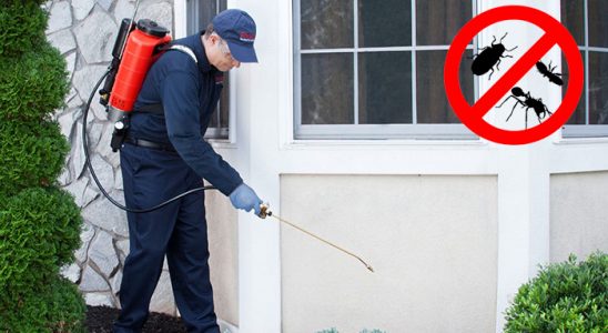 Mudanya Böcek İlaçlama böcek ilaçlama ve haşere kontrolü — ilaclama-tr.com